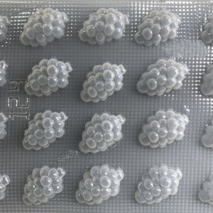 UVAS 20 CAVIDADES MJGC - 0050