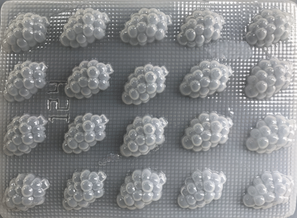 UVAS 20 CAVIDADES MJGC - 0050