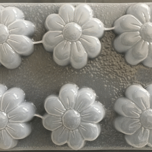 DAISY 6 CAVIDADES MJGC - 0071